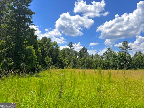 0 Ernest Carter Rd, Hazlehurst, GA, 31539 | Card Image