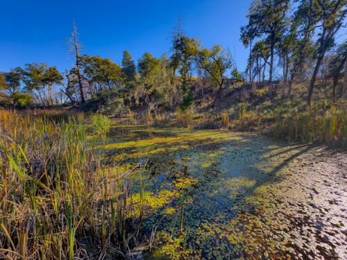 9501 Big John Rd, Willits, CA, 95490-9038 | Card Image