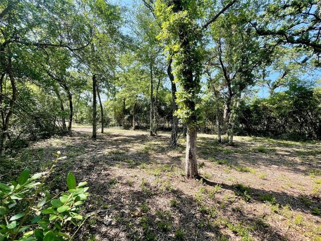 9211 Stetson Drive, Home with 0 bedrooms, 0 bathrooms and null parking in Hilltop Lakes TX | Image 6