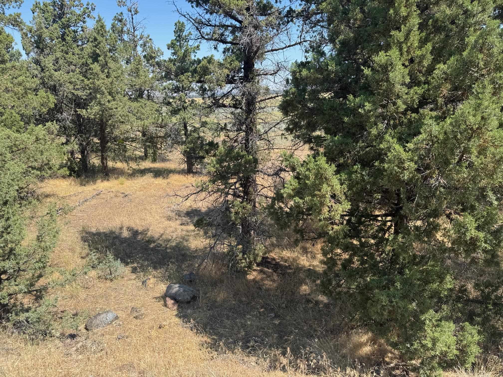 Land in Weed