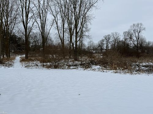 Vacant Land Tyrrell Road, Bennington Township, MI, 48867 | Card Image