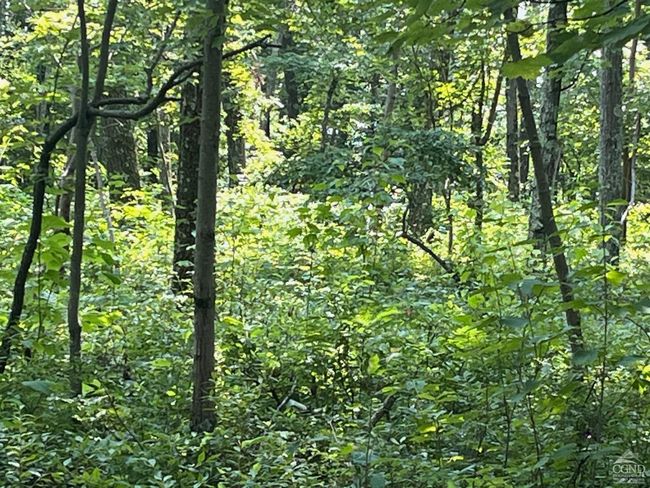 0 Cascade Mountain Rd, Home with 0 bedrooms, 0 bathrooms and null parking in Amenia NY | Image 8