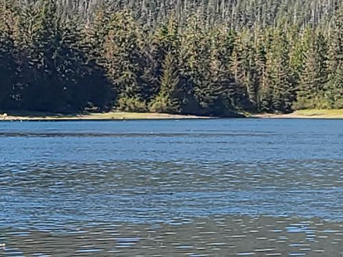 Lot 12 Wrangell Legal Address Only, Petersburg, AK, 88833 | Card Image