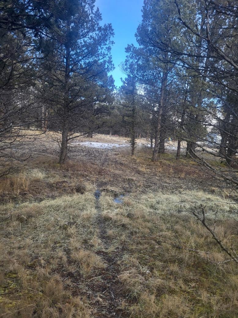 Land in Dorris 2