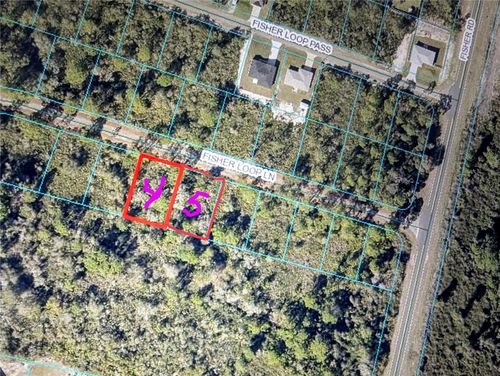 TBD Fisher Loop Lane, OCKLAWAHA, FL, 32179 | Card Image