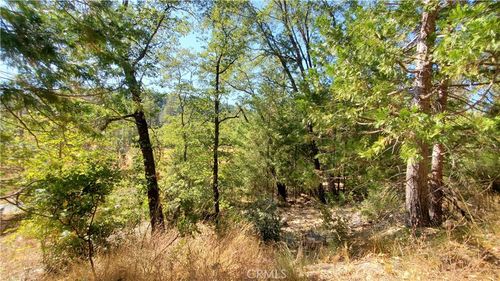 12147 Western Pine Rd, Loch Lomond, CA, 95461 | Card Image