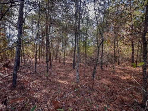 941 Dogwood Trl, Waskom, TX, 75692-6215 | Card Image