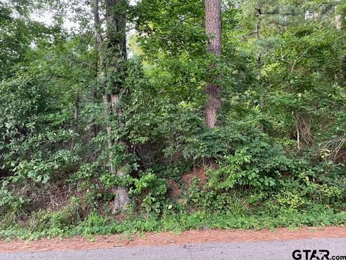 TBD County Road 4705, Troup, TX, 75789 | Card Image