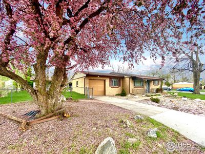 9845 W 51st Pl, House other with 3 bedrooms, 1 bathrooms and null parking in Arvada CO | Image 1