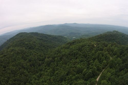 Tract 1 Straight Fork Rd, Huntsville, TN, 37756 | Card Image