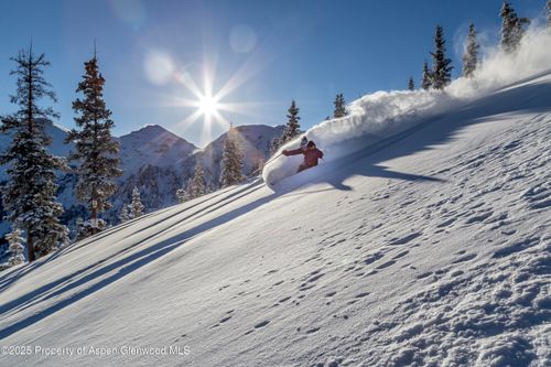 4901 Cimarron Mountain Rd, Cimarron, CO, 81220 | Card Image