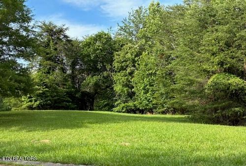 Lot 17 Waterstone Dr, Dandridge, TN, 37725 | Card Image