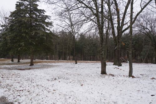 000 Wyldewood Ridge Lot 1, Fordland, MO, 65652 | Card Image