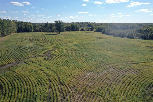 DJI_0458.JPG | Image 25