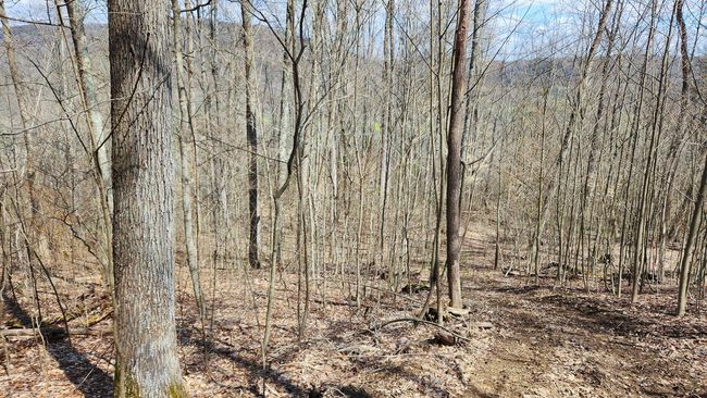 TRACT-1-PIKE-LAKE-GETAWA - 0 Pike Lake Rd, Home with 0 bedrooms, 0 bathrooms and null parking in Bainbridge OH | Image 26