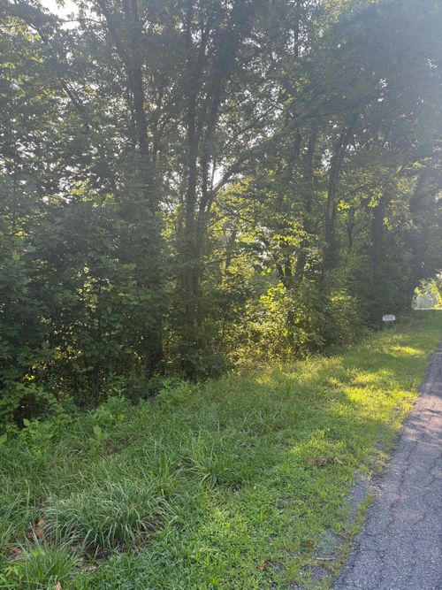 0 Oak Ridge Rd, Buchanan, VA, 24066 | Card Image