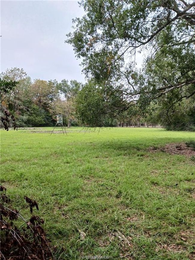 View of grassy yard | Image 7