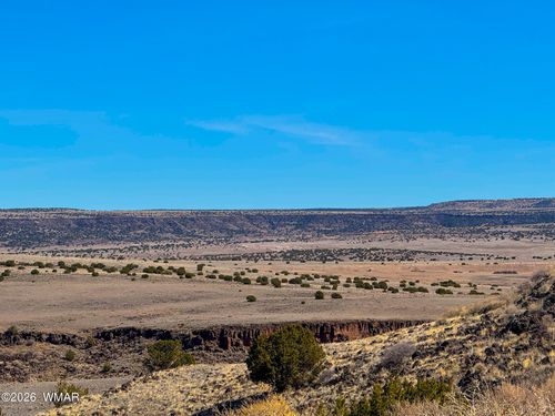 0 County Road 4008, Saint Johns, AZ, 85936 | Card Image