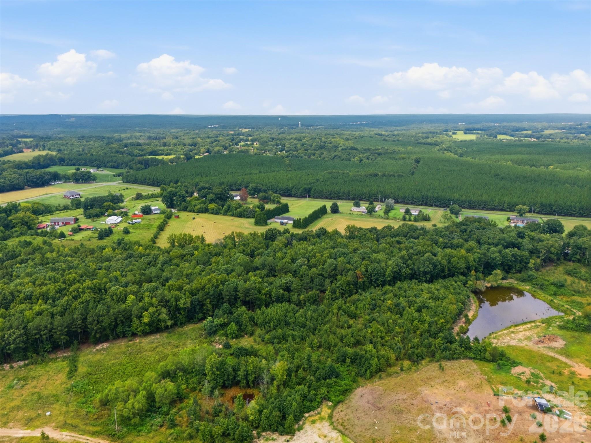 Land in Albemarle 4