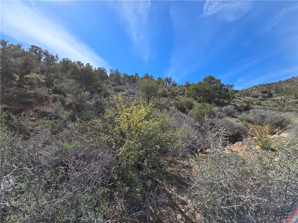 Land in Kingman 4