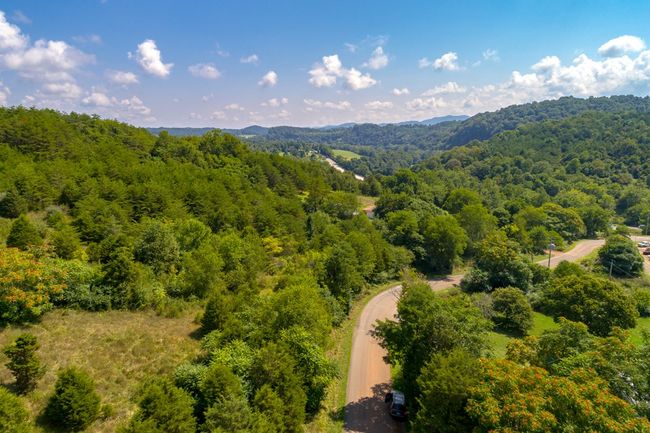 Lot 22 Lone Ash Rd, Home with 0 bedrooms, 0 bathrooms and null parking in Barren Springs VA | Image 10