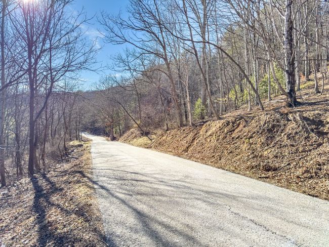 92 Acres Laurel Fork Rd, Home with 0 bedrooms, 0 bathrooms and null parking in Rocky Gap VA | Image 22