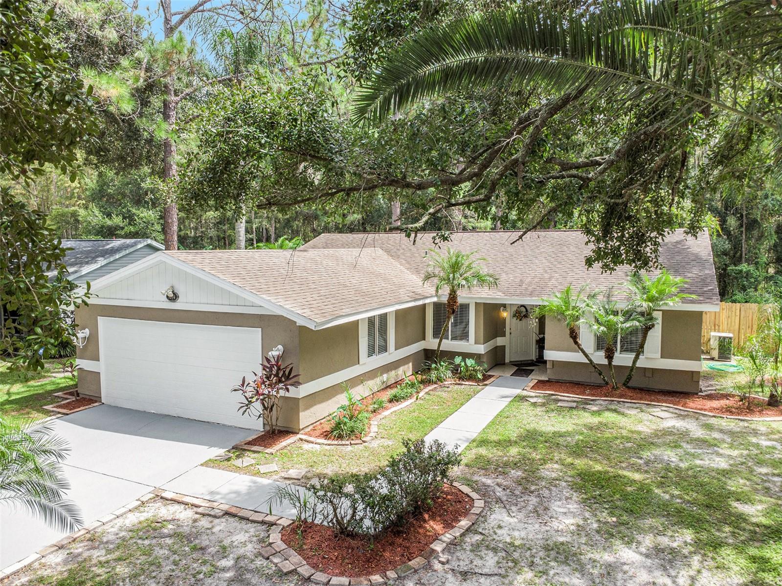Black Pine Dr, Tampa, FL 33624