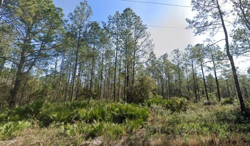 10620 Beckenger Ave, Hastings, FL, 32145-8907 | Card Image