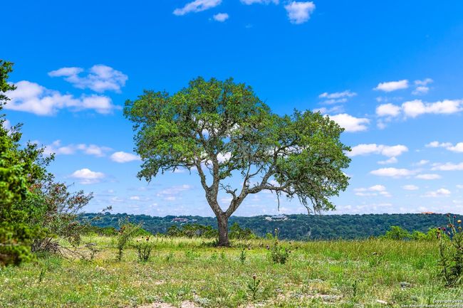 200 Countless Views Dr N, Home with 0 bedrooms, 0 bathrooms and null parking in Kerrville TX | Image 10