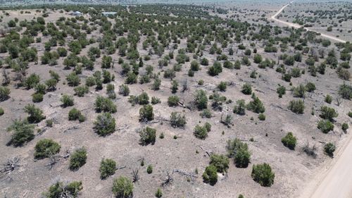 lot-24-24 Omega Rd, Quemado, NM, 87829 | Card Image