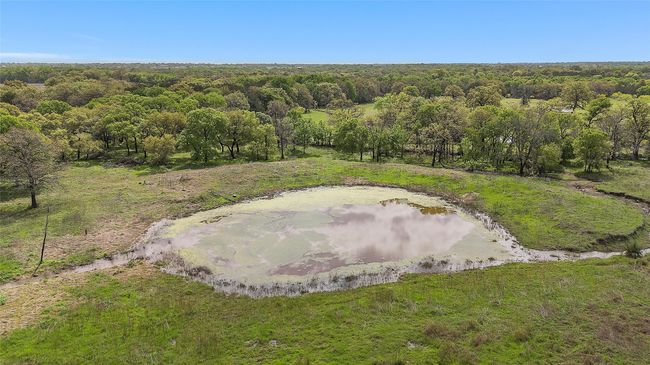 Bird's eye view featuring a forest view | Image 9