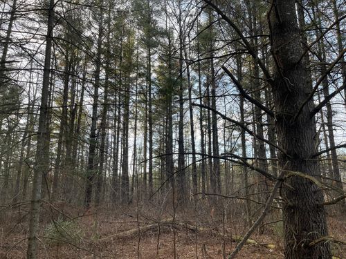 0 Old 14 Rd, GLEN FLORA, WI, 54526 | Card Image