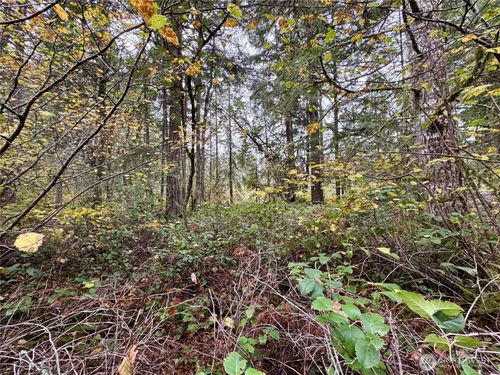 10824 Madrona Dr, Anderson Island, WA, 98303-9710 | Card Image