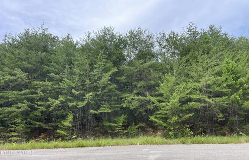 742 White Dogwood Rd, Cosby, TN, 37722 | Card Image