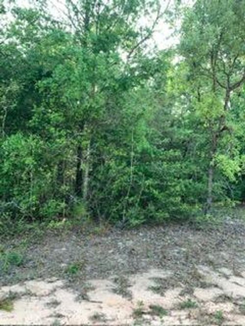 0 Gardenia Dr, Marianna, FL, 32448 | Card Image