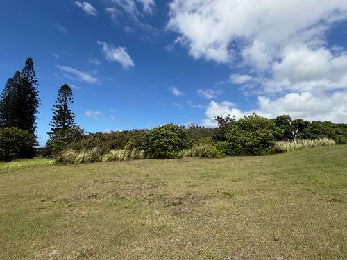 94-5877 Kau Wela Pl, NAALEHU, HI, 96772 | Card Image