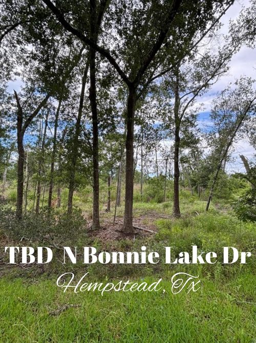 TBD N Bonnie Lake Dr, Hempstead, TX, 77445 | Card Image
