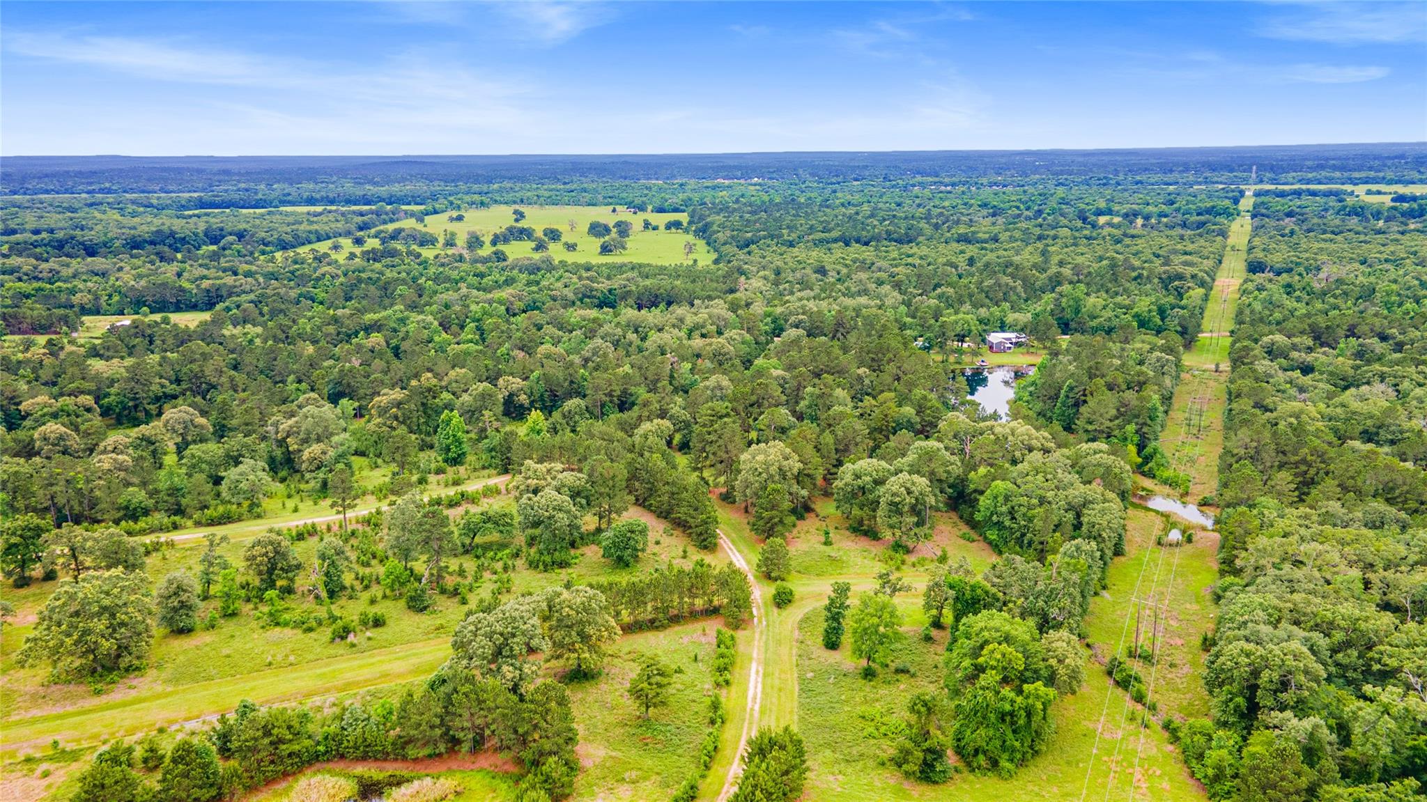 Land in Trinity 5