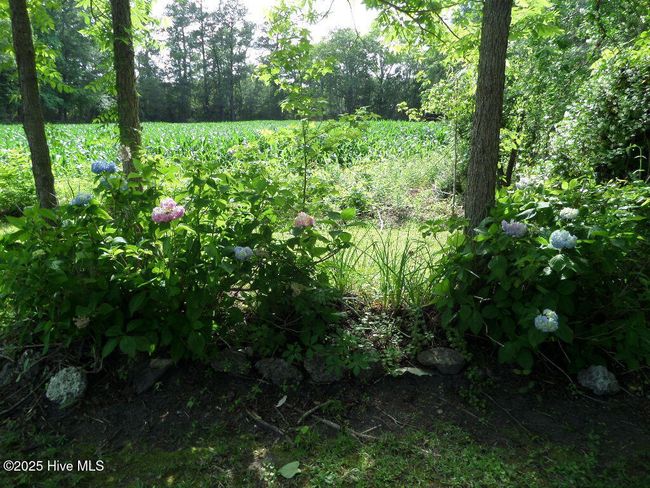 108 Swan Point Rd, House other with 3 bedrooms, 2 bathrooms and null parking in Bayboro NC | Image 47