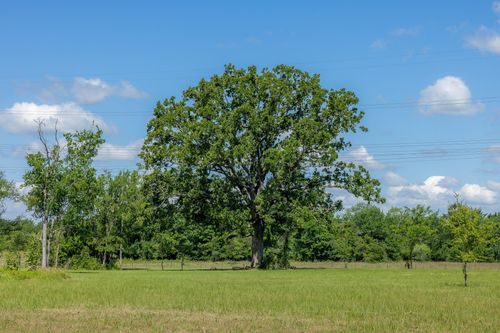 6781 Atakapan Trl, Bedias, TX, 77831-1424 | Card Image