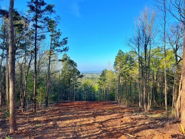 99 Cr 2107, Home with 0 bedrooms, 0 bathrooms and null parking in Rusk TX | Image 5