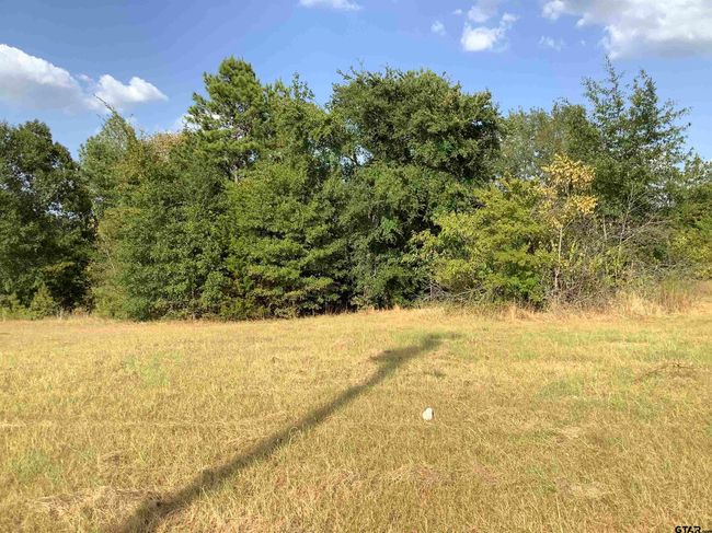 5664 Fm 757, House other with 3 bedrooms, 2 bathrooms and null parking in Winona TX | Image 6