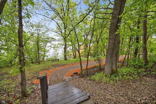 Path to Lake | Image 36