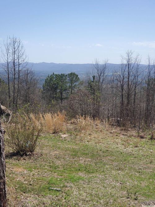 TBD Diamond Rose Ln, Mena, AR, 71953 | Card Image