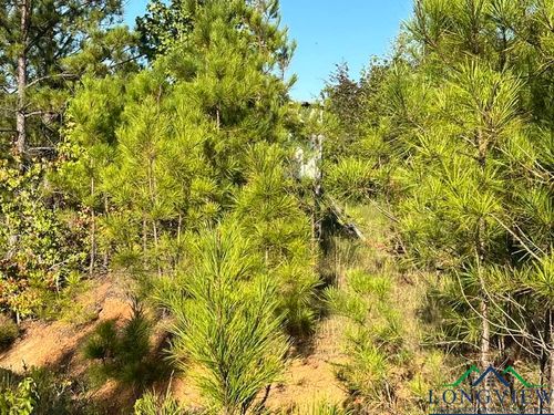 TBD Country Ln, Marshall, TX, 75672 | Card Image