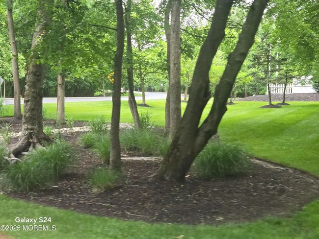 Beautiful landscaping all around | Image 35