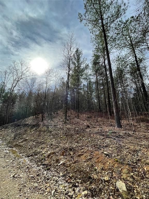 Land in Broken Bow 3