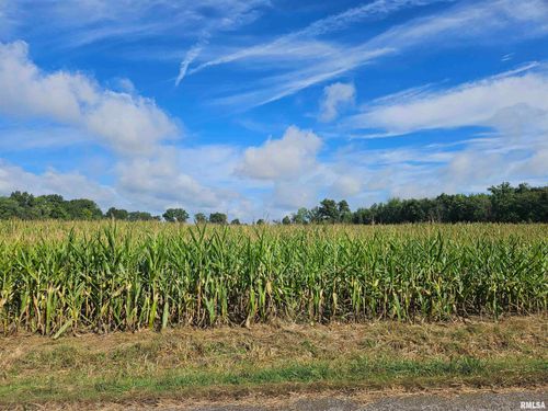 0000 N County Line Rd, Ina, IL, 62846 | Card Image