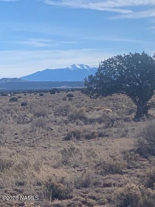 1546 E Pine Road, Williams, AZ, 86046 | Card Image