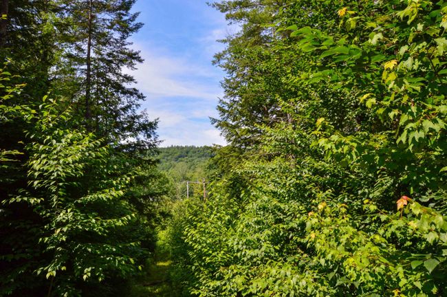 LOT-3 - 00 Vt Route 103 N, Home with 0 bedrooms, 0 bathrooms and null parking in Chester VT | Image 31